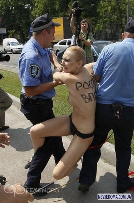  FEMEN       (19  + )
