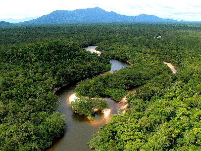 Amazonas02     