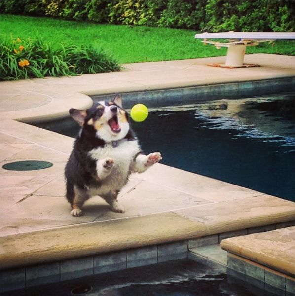 Прикольные картинки Прикольные картинки