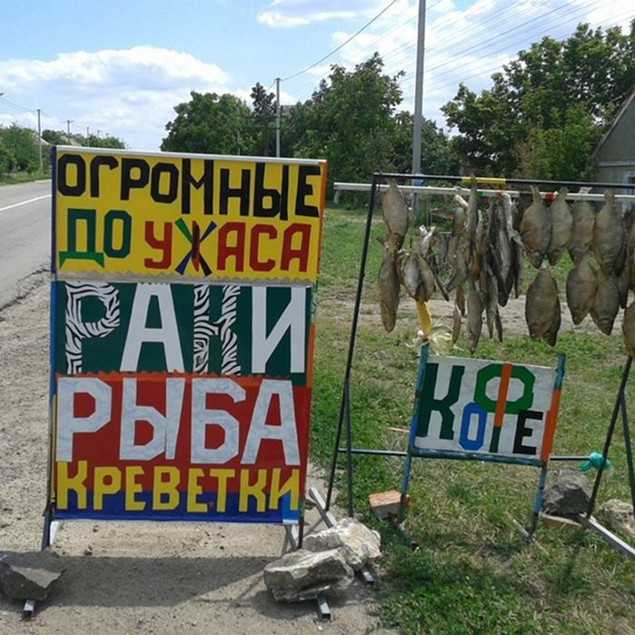 Прикольные картинки Прикольные картинки