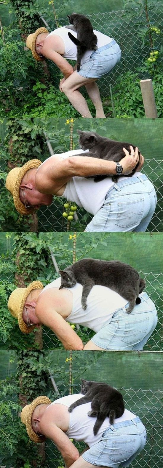 Прикольные картинки Прикольные картинки