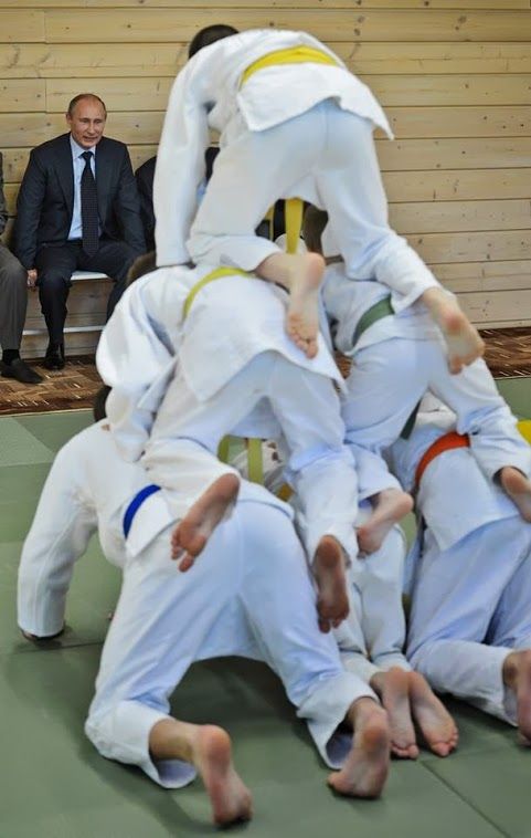 Прикольные картинки Прикольные картинки