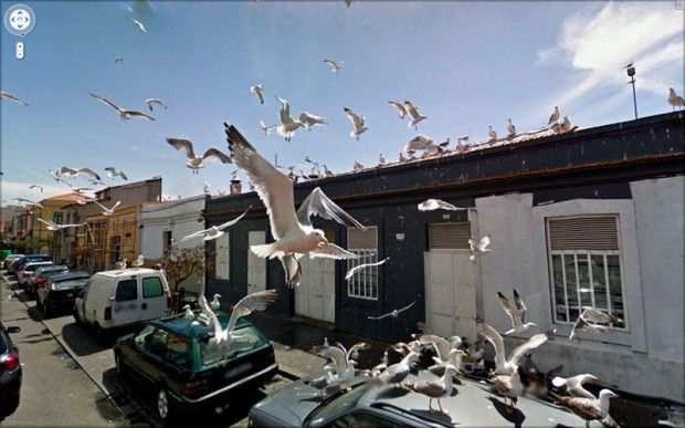    ,   Google Street View (31 )