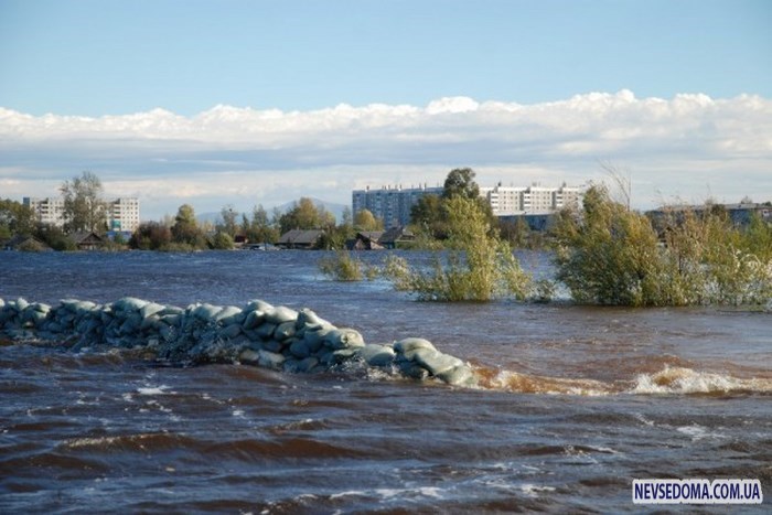 Борьба МЧС с наводнением на Амуре (34 фото + видео)