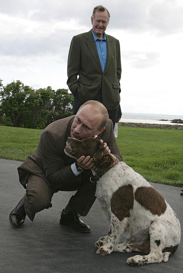 156618 russias president vladimir putin strokes a dog on his arrival to the f 20      