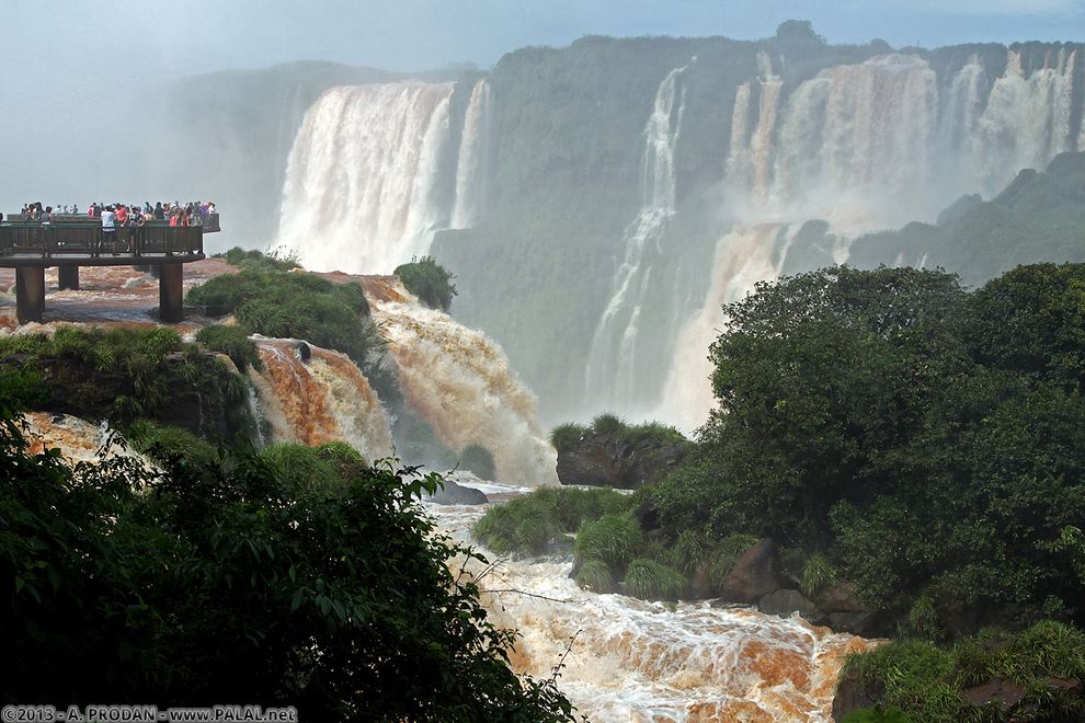 Iguazu11  