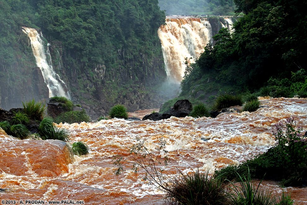 Iguazu13  