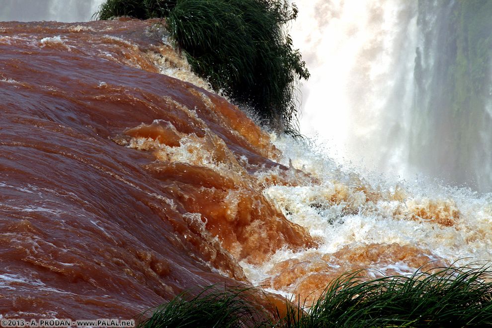 Iguazu14  