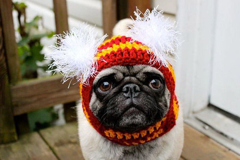 PugInHats10    