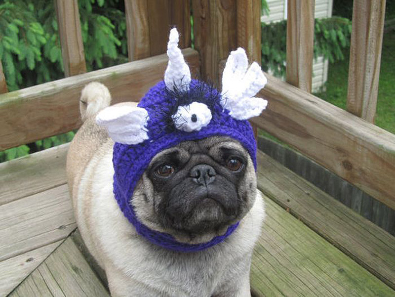 PugInHats13    