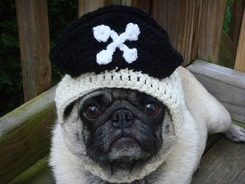 PugInHats15    