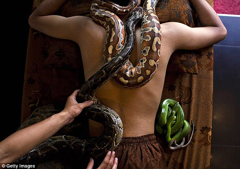 snakemassage02  
