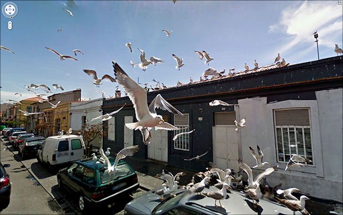    Google Street View (24 )