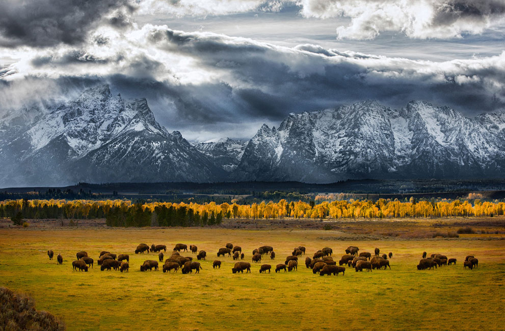 NatGeoContest11  National Geographic Photo Contest 2013