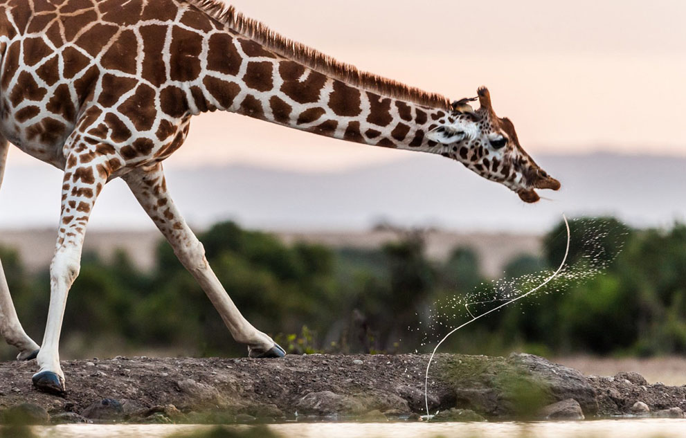 NatGeoContest28  National Geographic Photo Contest 2013