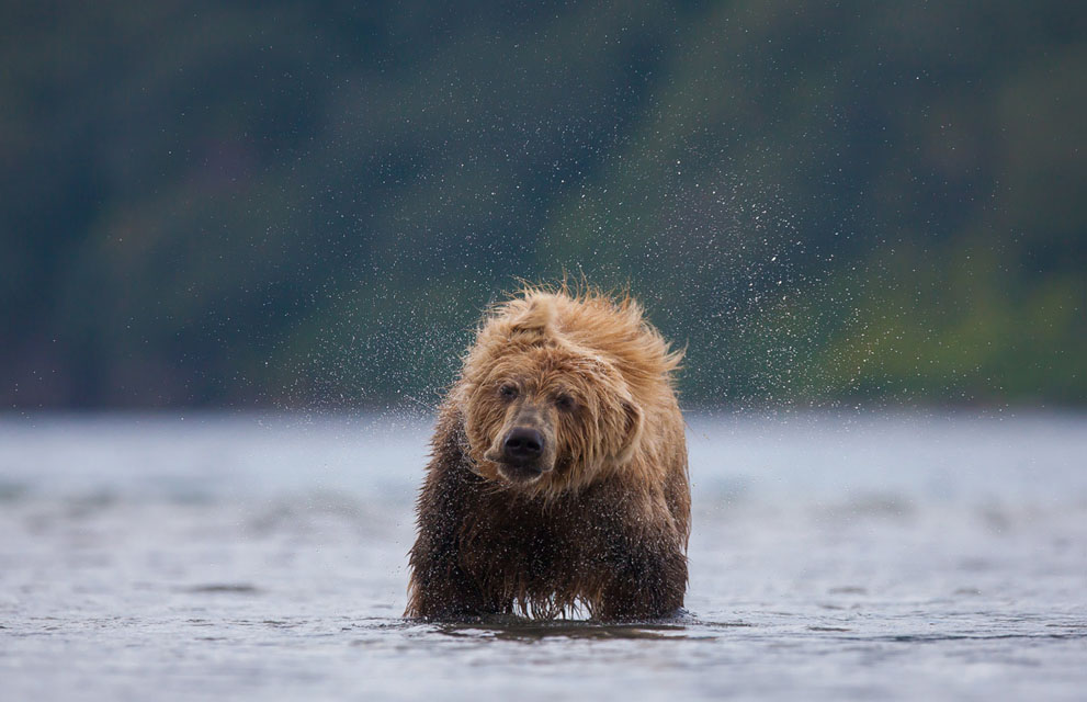 NatGeoContest30  National Geographic Photo Contest 2013