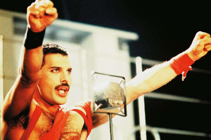 Freddie Mercury 11       