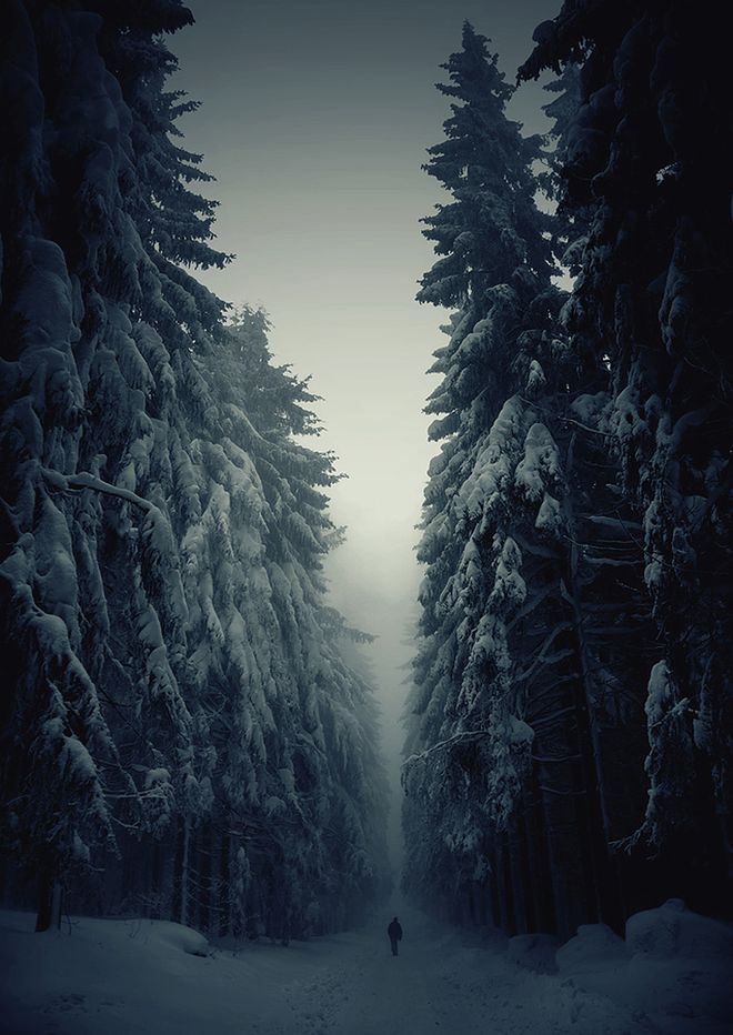WinterLandscapes01   