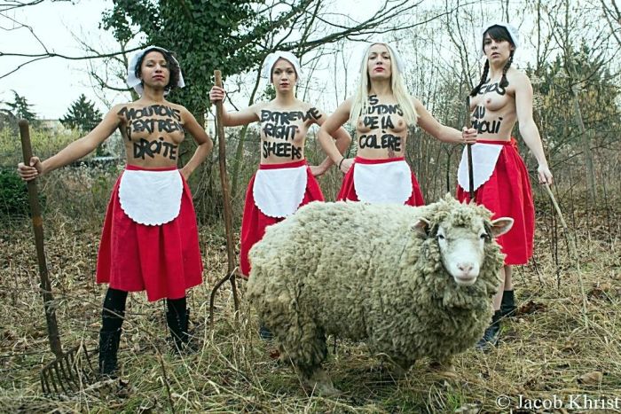  FEMEN    (10 )