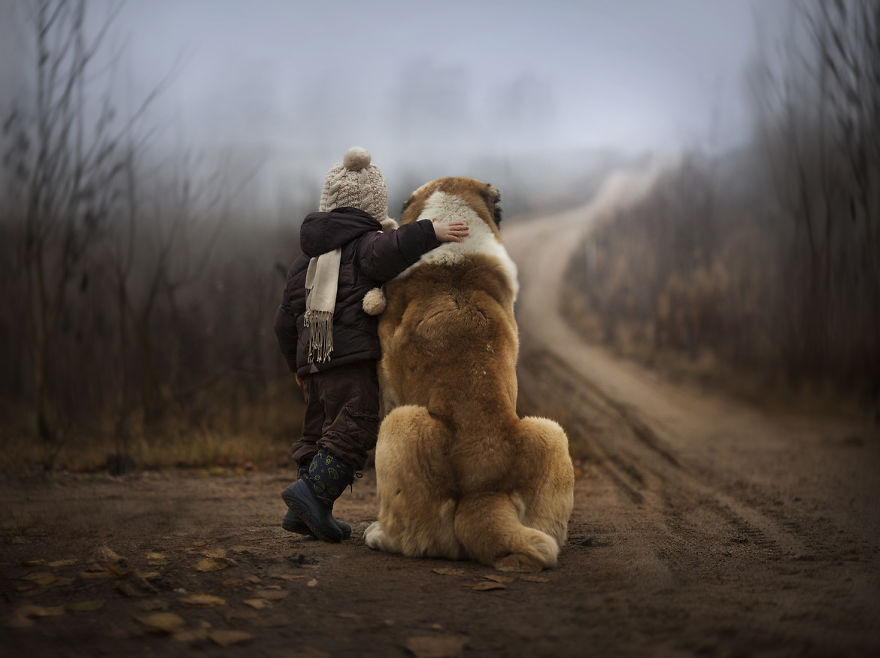 shumilova02   :   ,   