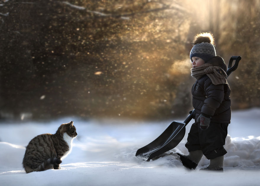 shumilova06   :   ,   