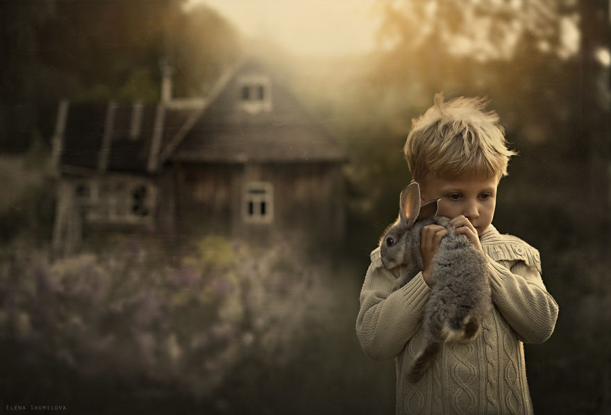 shumilova10   :   ,   