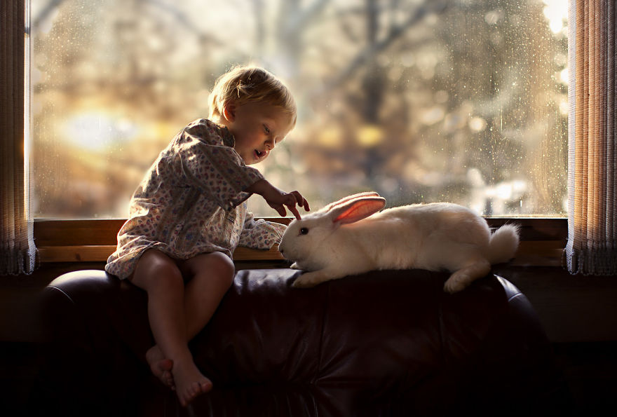 shumilova11   :   ,   