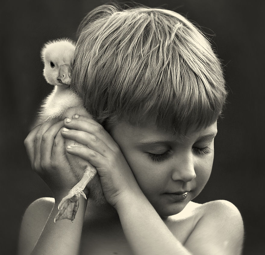 shumilova15   :   ,   