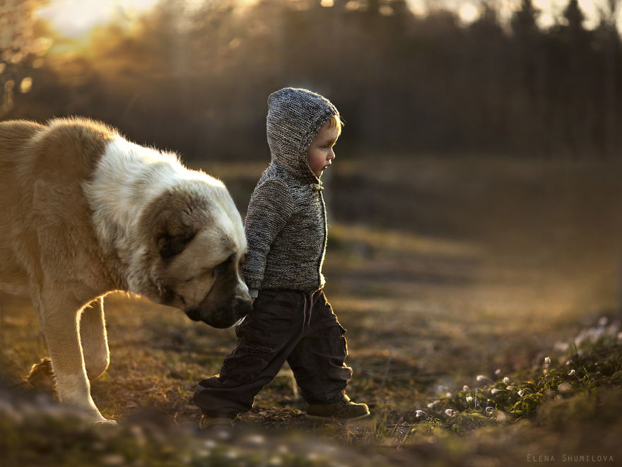 shumilova17   :   ,   