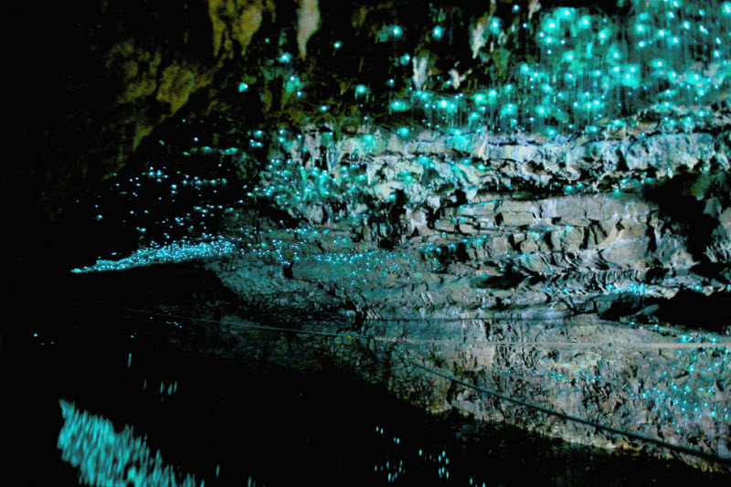 Чудо природы: светящиеся пещеры Вайтомо (8 фото)