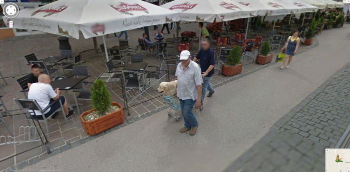    Google Street View (50 )