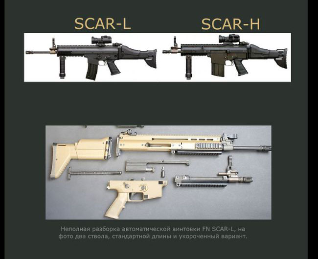     FN SCAR (6 )