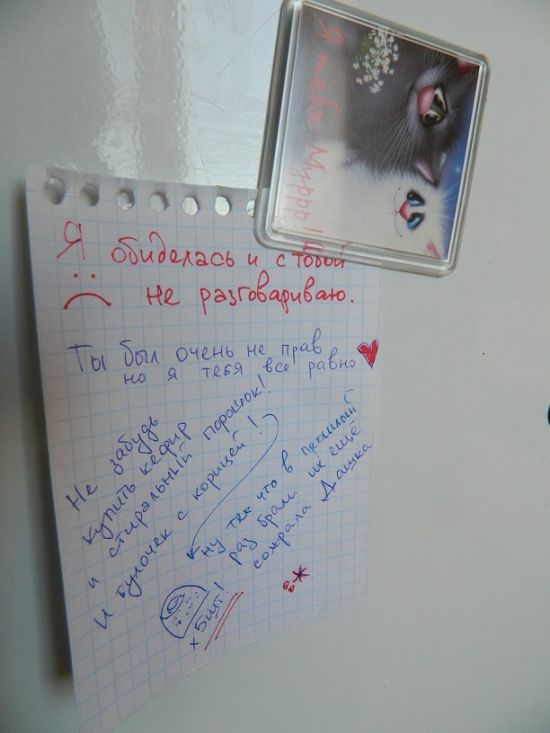 Фотоподборка сообщений на холодильниках (24 фото)
