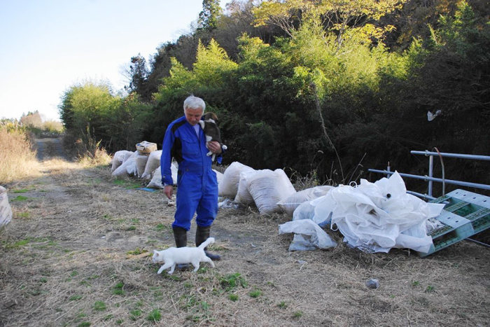 55-летний японец вернулся в радиоактивную зону Фукусимы, чтобы кормить брошенных там животных (16 фото)