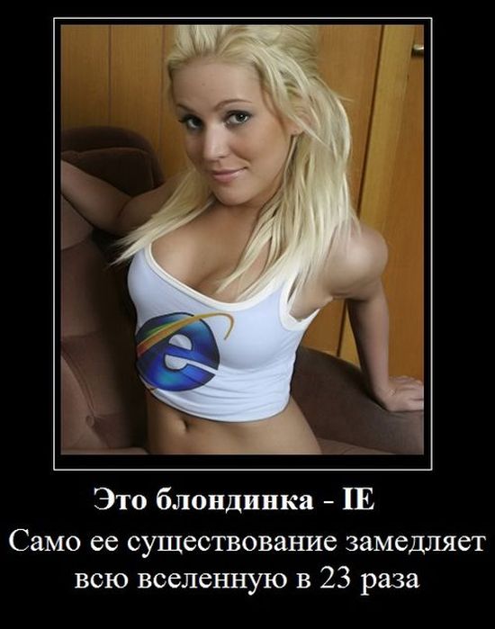  Windows 10    Internet Explorer (21 )
