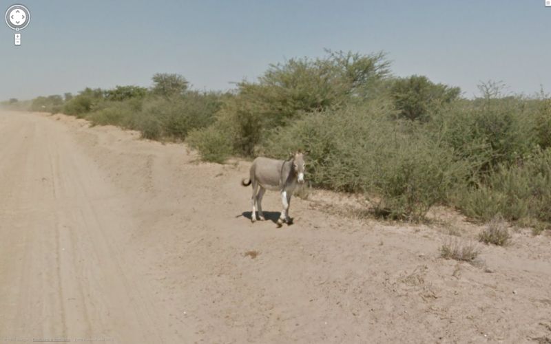 , google, streetviews