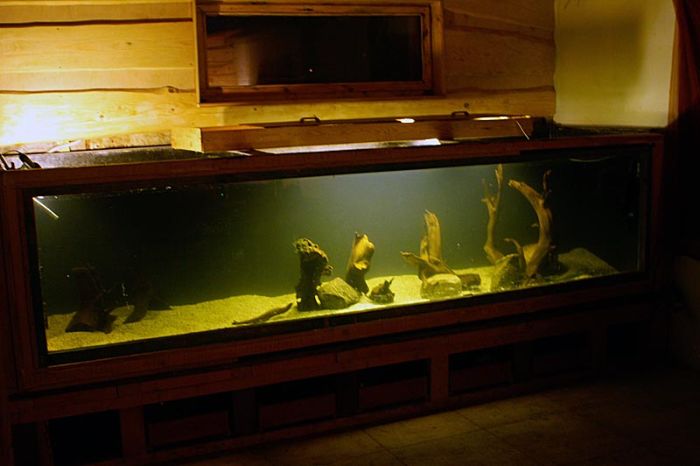 Делаем большой аквариум своими руками (26 фото)