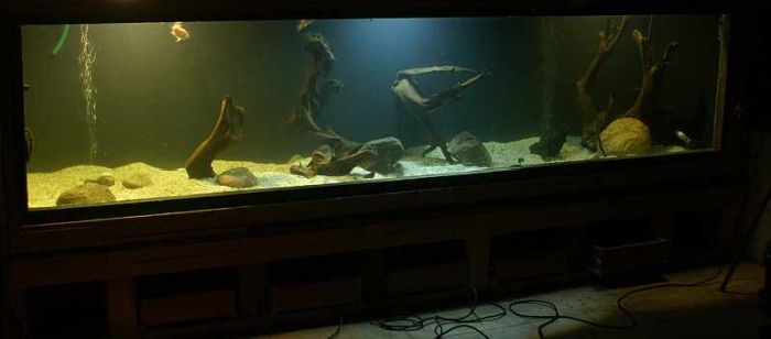 Делаем большой аквариум своими руками (26 фото)