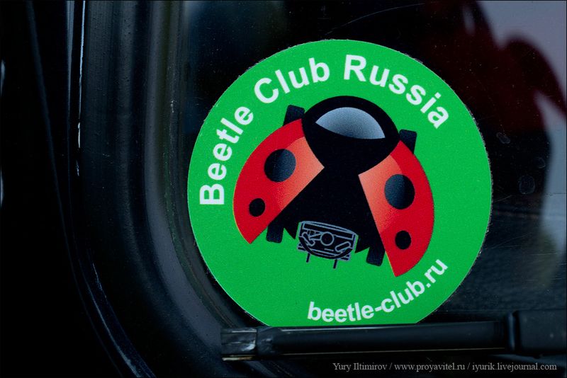 , vw beetle, beetle