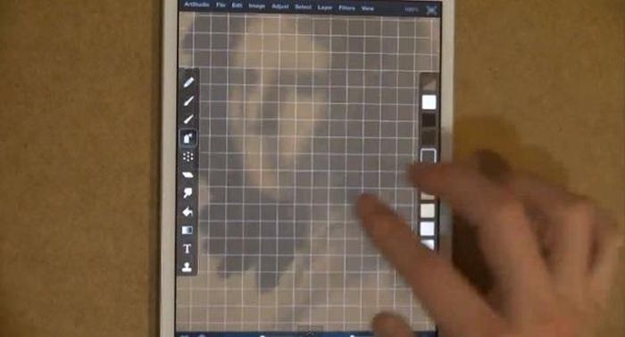     iPad (13 )