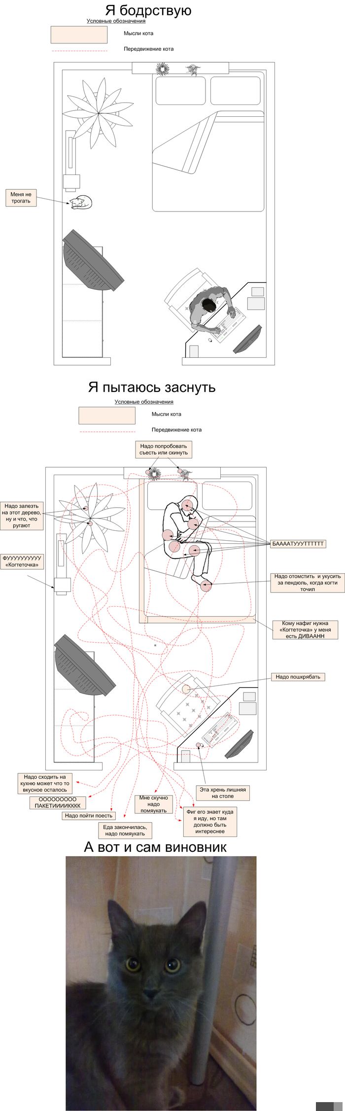   (136 )