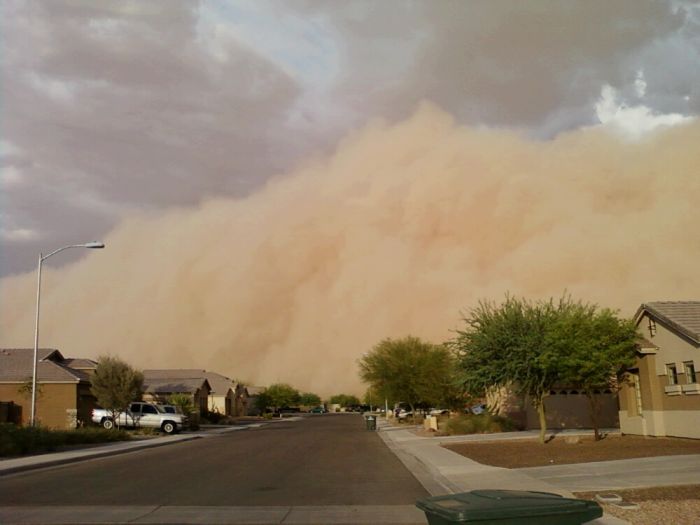 Прикольные картинки (96 фото)