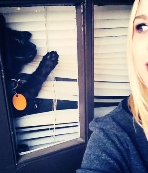 Прикольные картинки (96 фото)