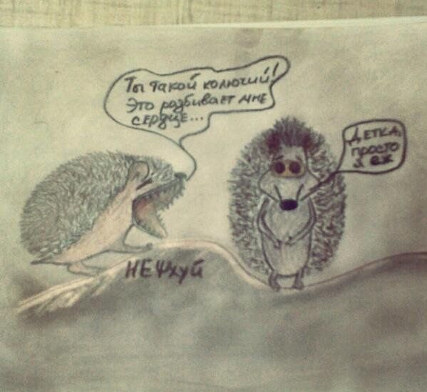 Прикольные картинки (96 фото)