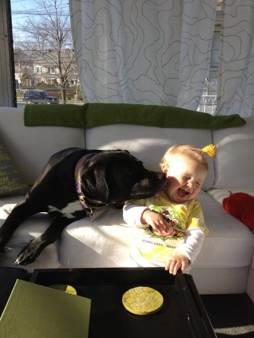 Прикольные картинки (96 фото)