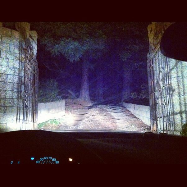 Прикольные картинки (96 фото)