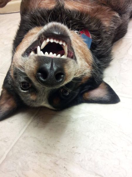 Прикольные картинки (96 фото)