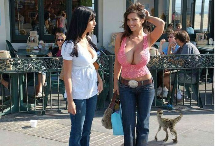 Прикольные картинки (96 фото)