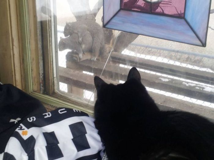 Прикольные картинки (96 фото)