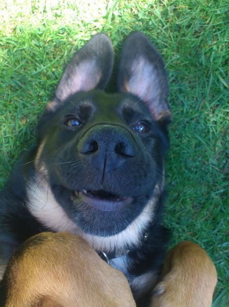 Прикольные картинки (192 фото)